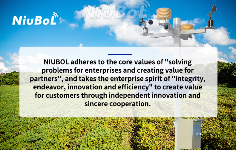 NBL-S-PH Soil pH Sensor for Precision Agriculture - Image 6